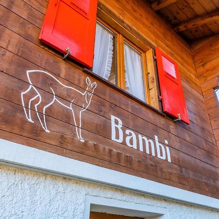Chalet Bambi "Marchenhaft" Apartment Grachen Ngoại thất bức ảnh