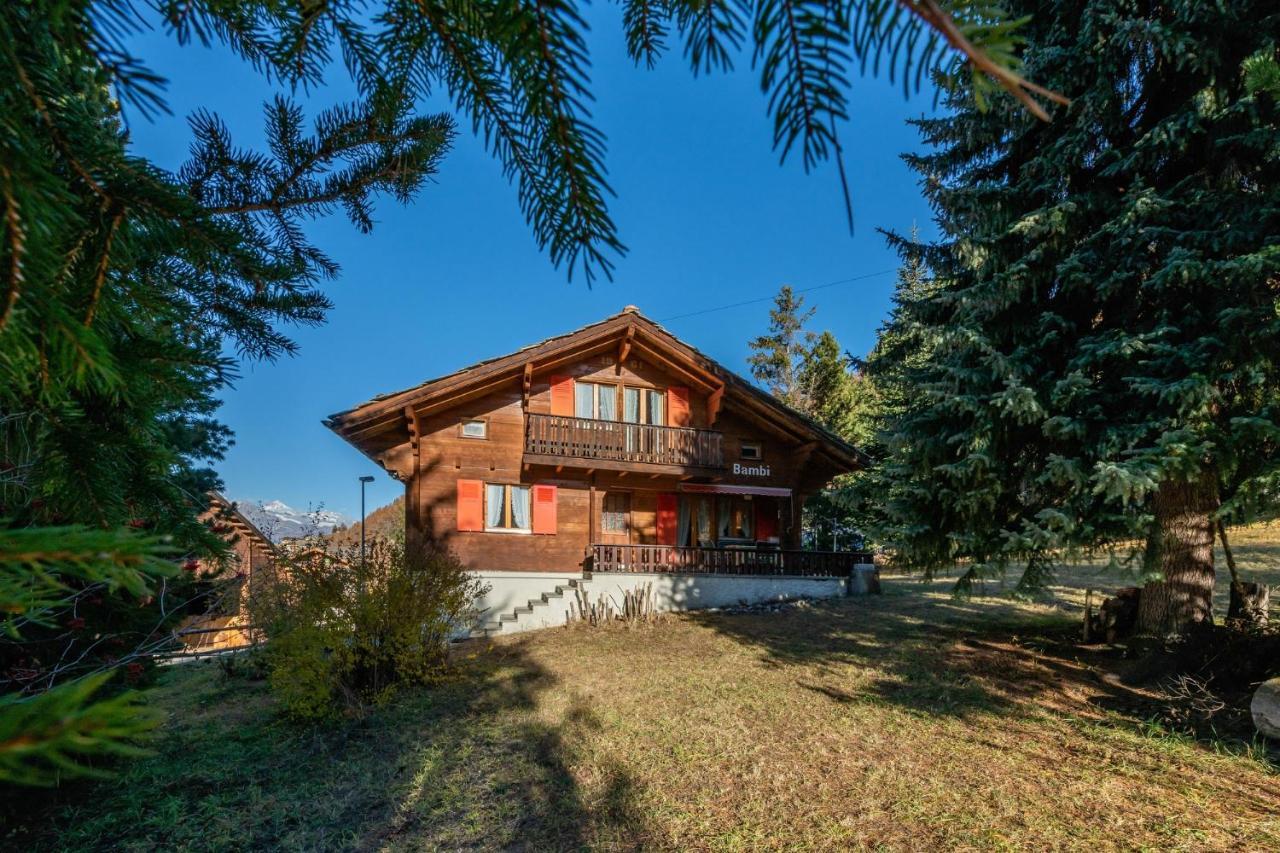 Chalet Bambi "Marchenhaft" Apartment Grachen Ngoại thất bức ảnh